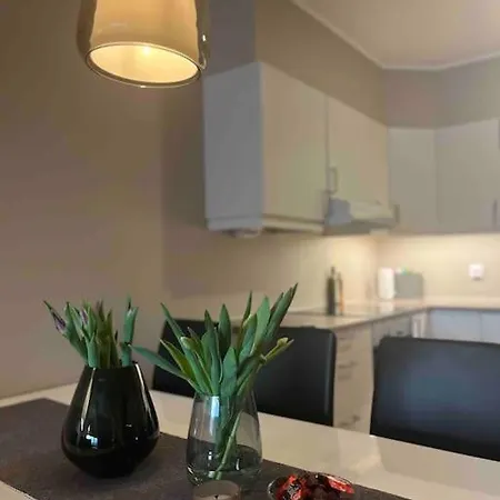 Metro In Basement, Garage, 2018 Model Bergen