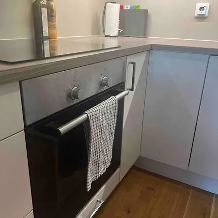 Apartment Metro In Basement, Garage, 2018 Model *